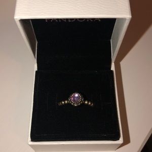 Amethyst & Silver February Birthstone Ring